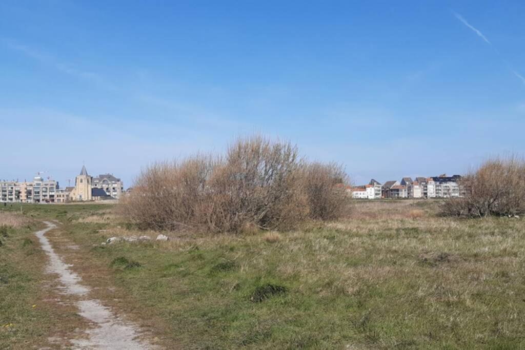 Oostende Studio Voor 2 Of 3 Pers Met Zeezicht 외부 사진